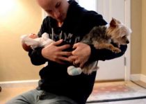 Adorable Yorkie Meets Newborn Baby Sister featured image