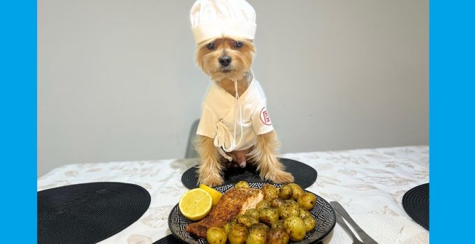 Chef Yorkie Cooks Lovely Gourmet Meal For Family